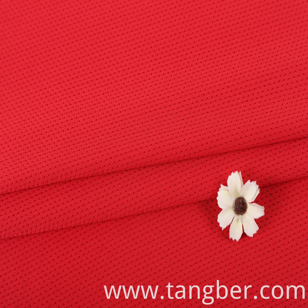 Polyester Mesh Fabric